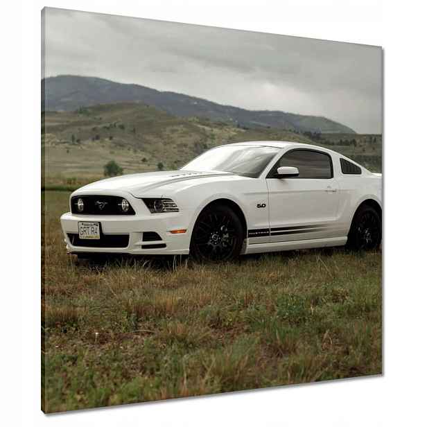 Obrazy 80x80 Bílý Ford Mustang