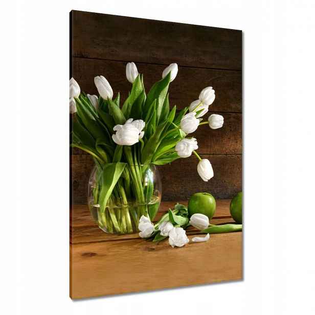 Obrazy 70x100 Bílé tulipány