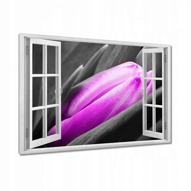 Obrazy 90x60 Fialový tulipán