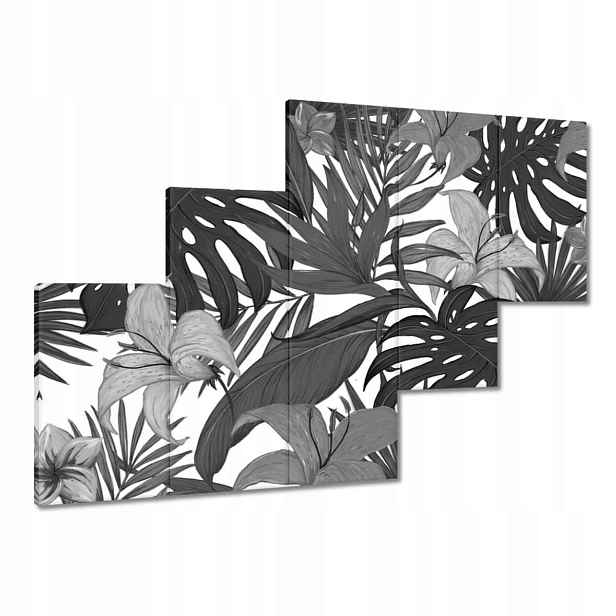 Obrazy 150x105 Černobílá monstera