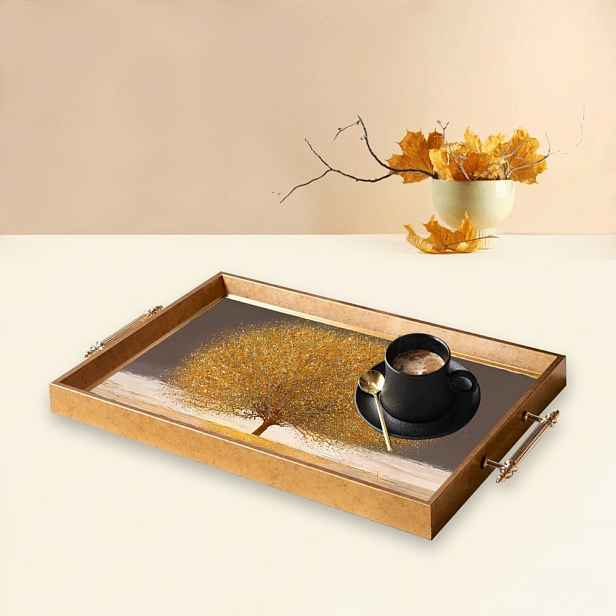 Tray TPEA9862