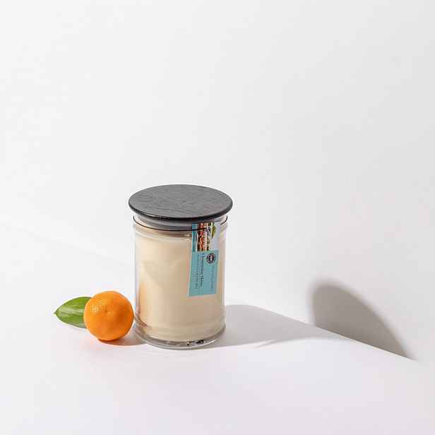 Vonná svíčka Clementine Shine 524g Bridgewater Candle