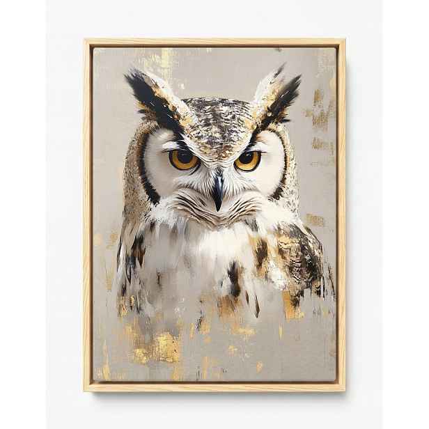 Obraz Rám American Box Portrét Pták Sova Moudrost Boho Béžová Hnědá 60x80