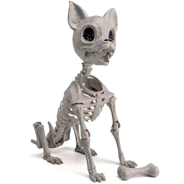 Kostra Psa Halloween 32 CM Čivava Pohyblivé Klouby Dekorace