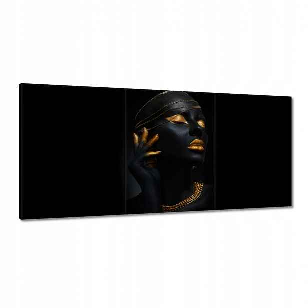 Obrazy 210x100 Zlatá aparace