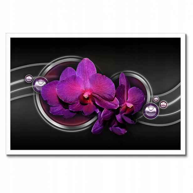 Plakáty v rámu 60x40 Fialová orchidej
