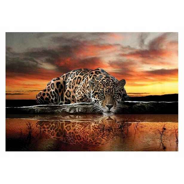 Fototapeta Tygr Safari Příroda Tapeta Do Ložnice Obývacího Pokoje 254x184