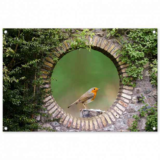 OnlyWow ZAHRADNÍ PLAKÁT Pták - průhled - Robin 90x60 cm