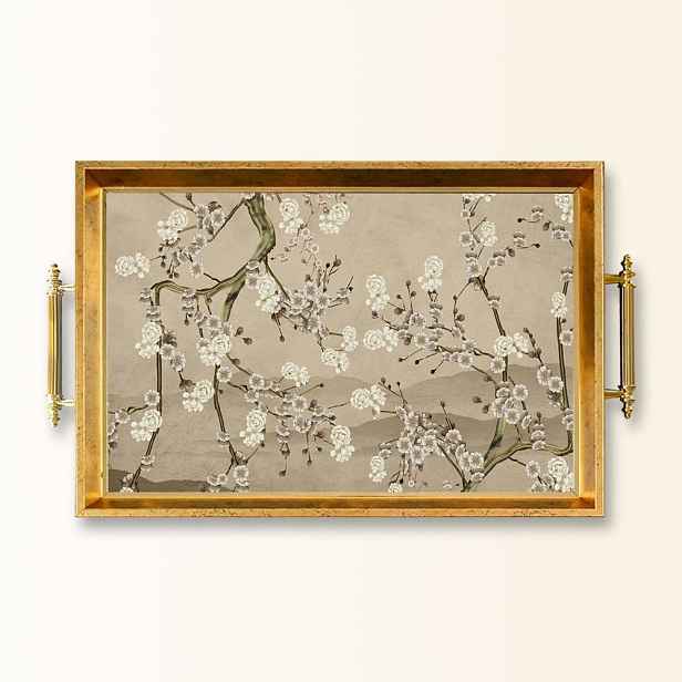 Tray TPEA9850
