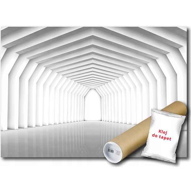 Fototapeta Tunel Oblouk 3D 10C F2XL 312x219 F2651
