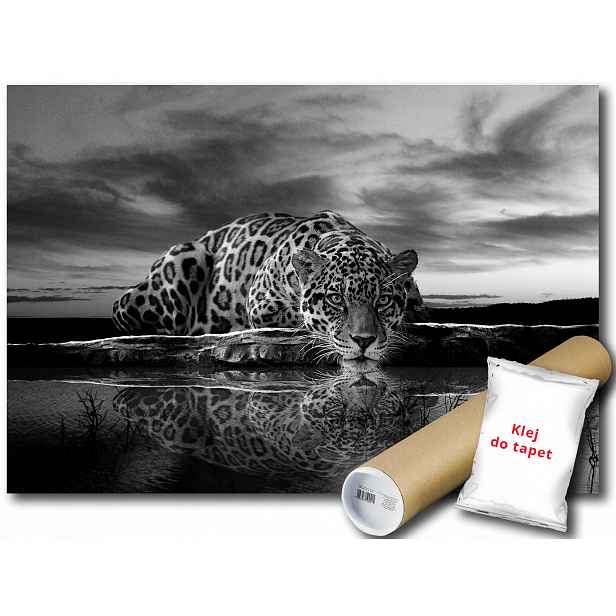 Fototapeta Zwierzak Gepard 12C F3XL 416x254 F218