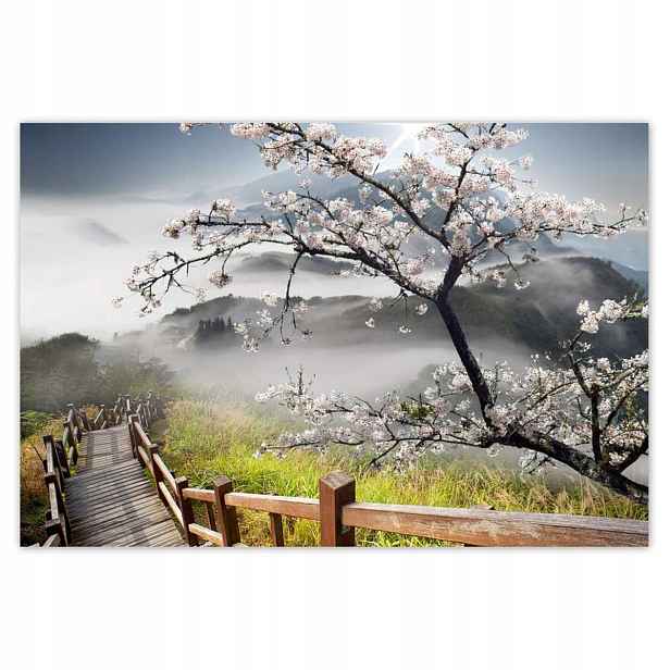 Fototapety 200x135 Japonsko Kvetoucí višeň