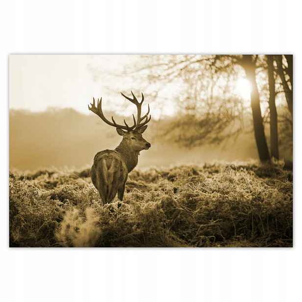 Fototapety flizelina 152x104 Jelen Sepia