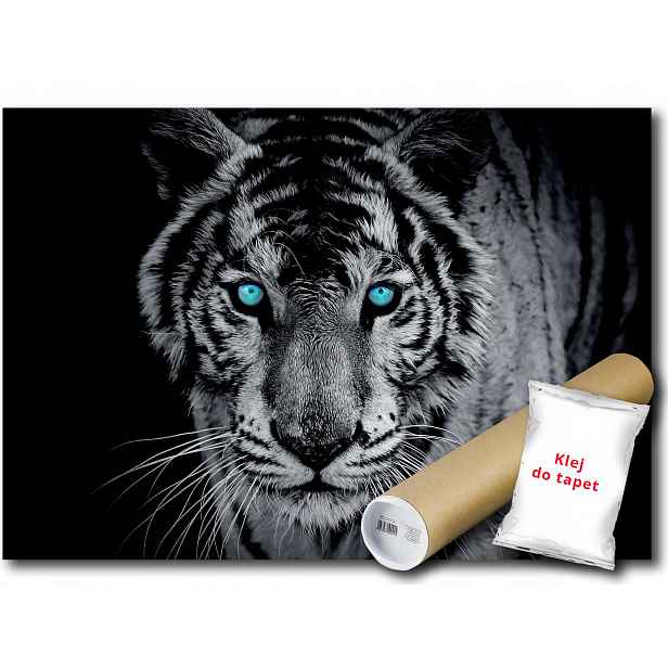 Vinylová Fototapeta Tygr Kočka Tiger 152x104