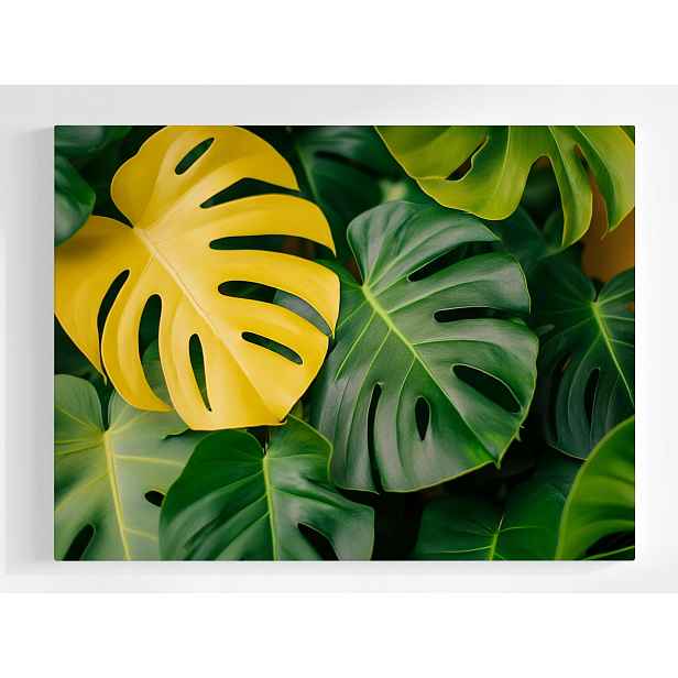 Plakát Příroda Rostliny Listy Monstera 100x75