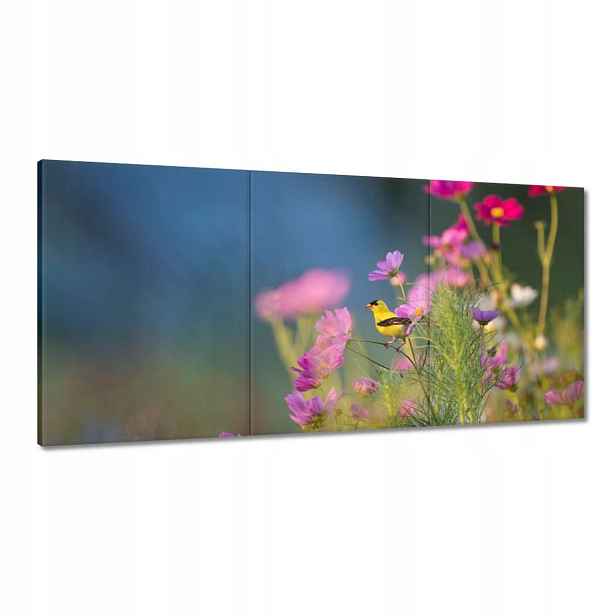 Obrazy 180x90 Ptáci