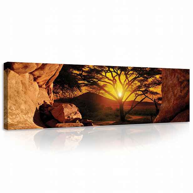 Obraz Safari Příroda 3D do obývacího pokoje Strom 145x45