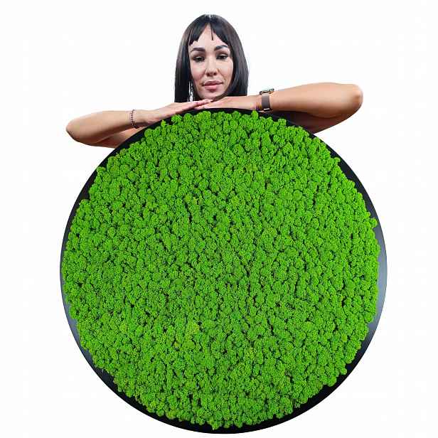 Obraz v dřevěném kulatém černém rámu s Mechem Chrobotkem, průměr 90 cm