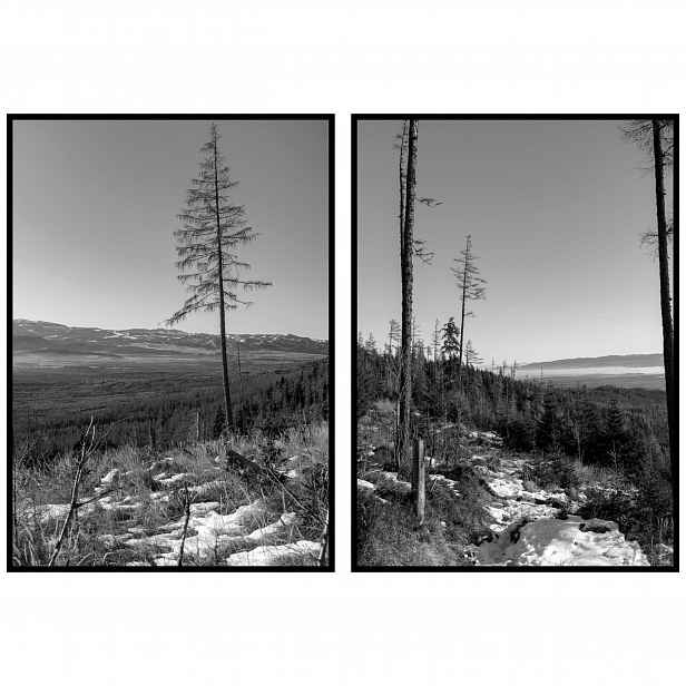 Stromy krajina panorama 2ks- 70x100cm hory černobílé Plakáty diptych