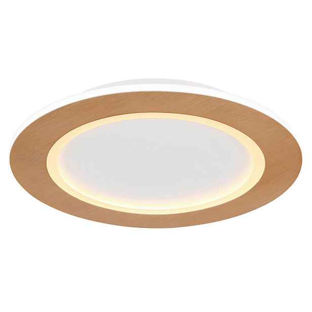 Globo STROPNÍ LED SVÍTIDLO, 40/5 cm