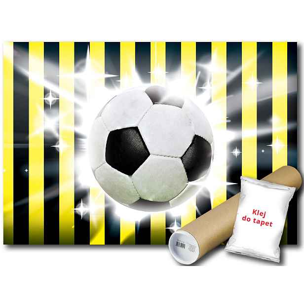 Fototapeta Flizelina Fotbal Zápas Gól 368x254
