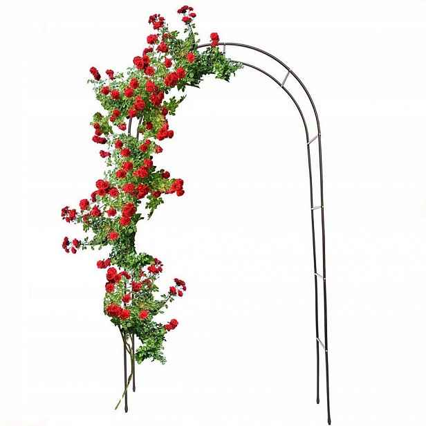 Pergola kovový oblouk 240 cm, stabilní oblouk pro popínavé rostliny (h871)