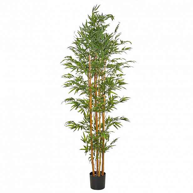 Beliani UMĚLÁ ROSTLINA v květináči 220 cm Zelená/Světlejší Odstín dřeva Bamboo