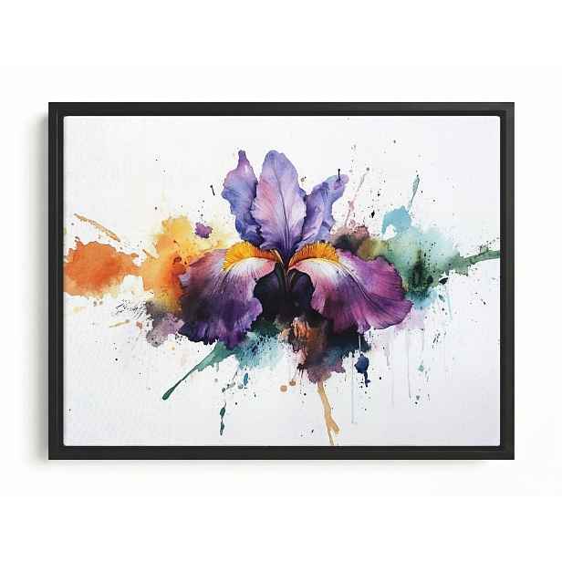 Obraz Rám Americký Box Akvarel Příroda Květ Fialový Irys Splash 80x60