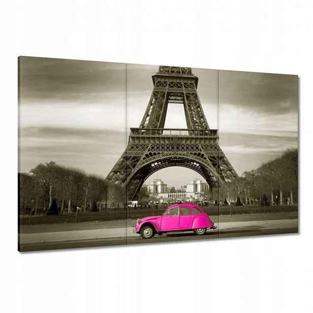 Obrazy 120x80 Růžový Citroen v Paříži