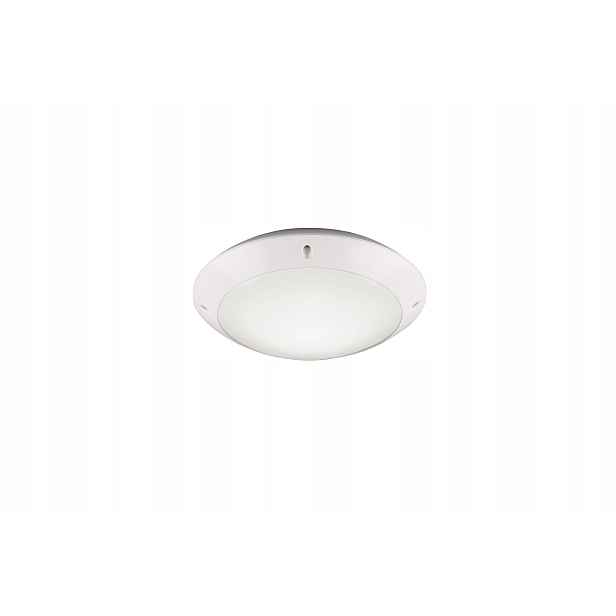 Venkovní fasádní lampa stropní svítidlo Camaro bílá Rl R60501031