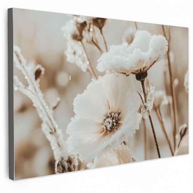 MuchoWow OBRAZ NA PLÁTNĚ Květiny - Zima - Bílá - Sníh - Béžová 30x20 cm