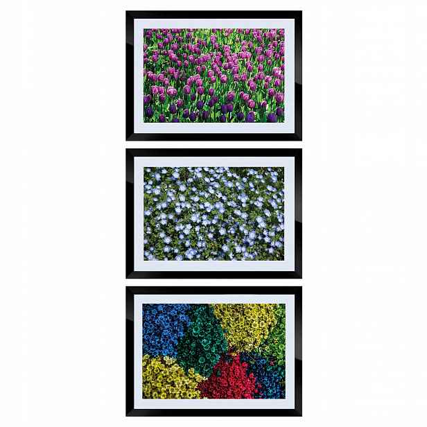 Obrazy Triptych květin 3 kusy fotografie s rámečkem