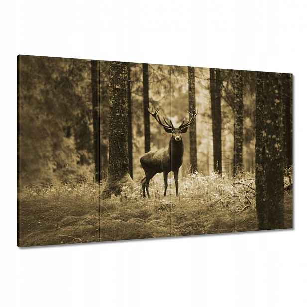 Obrazy 120x80 Jelen v lese Sepia