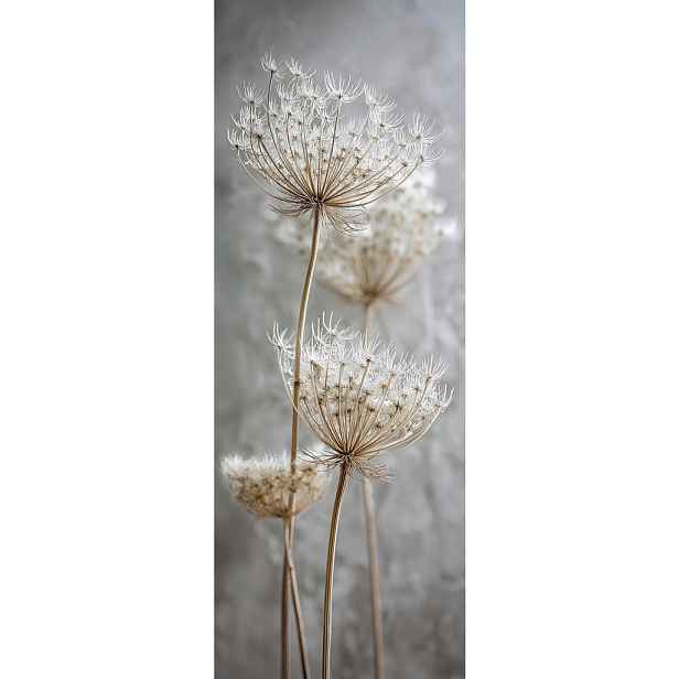 Monee OBRAZ NA SKLE, zátiší, 30/80 cm