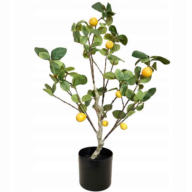 Umělé Citronové Dřevo 80 cm Citron Rostlina Do Obývacího Pokoje Ložnice Jako Živá
