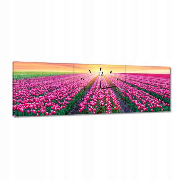Hodiny 90x30 Moře tulipánů Květiny