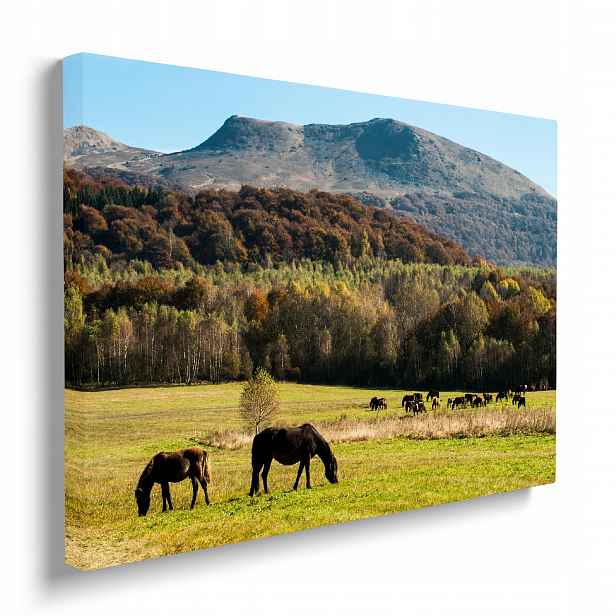 Obraz na plátně Koně a hory polský krajina přírody 70x50 cm