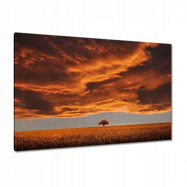Obrazy 120x80 Oranžové nebe