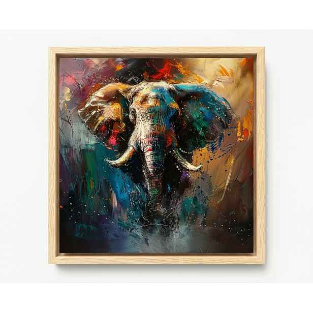 Obraz Rám Americký Box Grafika Zvíře Slon Portrét Abstrakce Boho 50x50