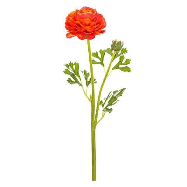Autronic Ranunculus oranžový UKR2004 OR