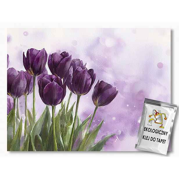Fototapeta Flizelina Akvarel Fialové Květy Tulipány 208 x 146 130 g