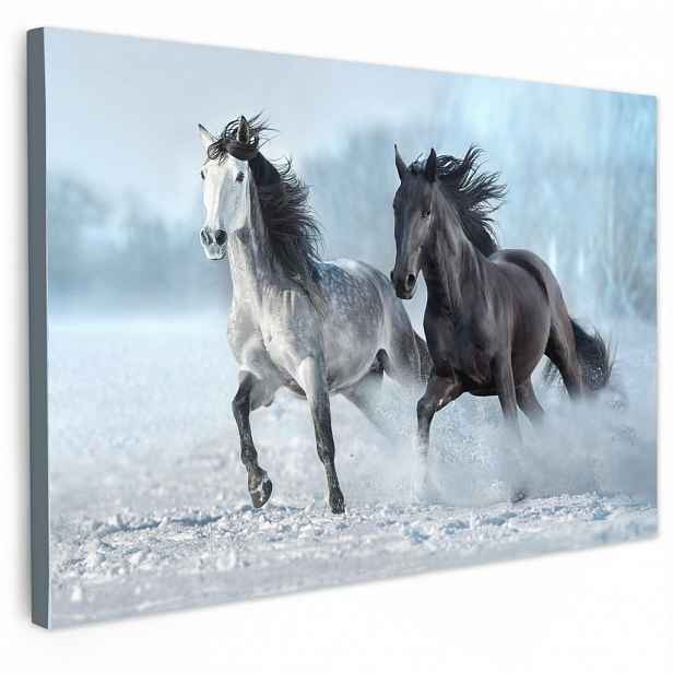 MuchoWow OBRAZ NA PLÁTNĚ Koně - Zima - Zvířata - Příroda - Sníh 90x60 cm