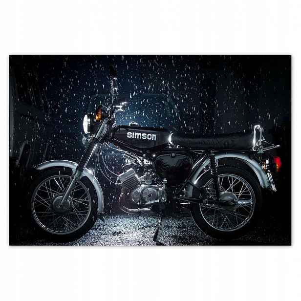Fototapety 200x135 Černý Simson