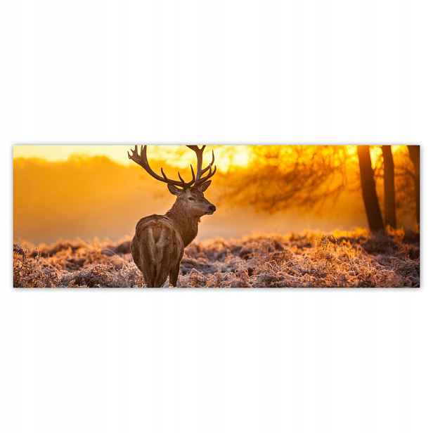Fototapety flizelina 624x219 Jelen při západu