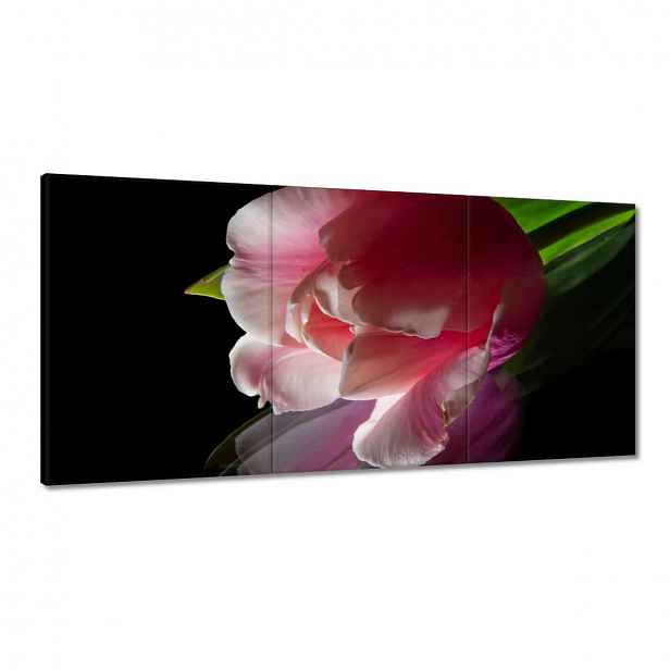 Obrazy 120x60 Růžový květ Tulipán