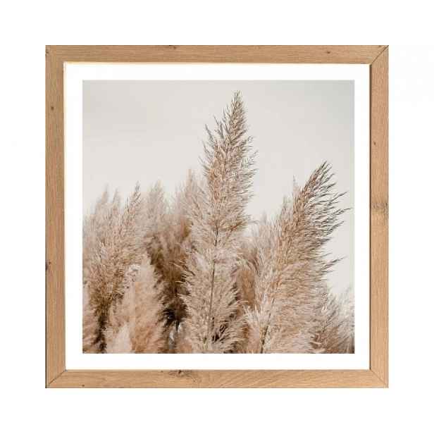 Rámovaný obraz Pampas 35x35 cm, dub artisan