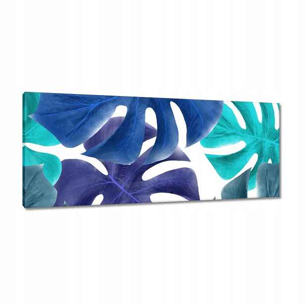 Obrazy 100x40 Monstera Listy Modrá