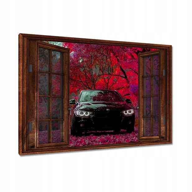 Černé obrazy 90x60 Bmw Podzim