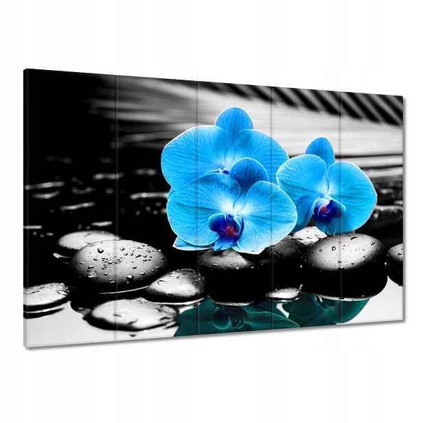 Obrazy 100x70 Tyrkysový orchidej Květina