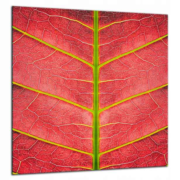 Skleněná Ochranná Deska Panel Lepidlo 60x65 Listy